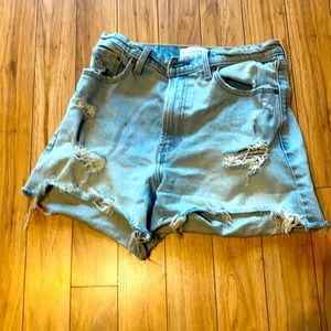 Abercrombie and Fitch Curve Love Shorts size 8